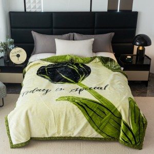 Microfiber Milk Fleece Bed Blanket Wholesale Digital Printing Cheap Flannel Blanket Warm Winter Blanket