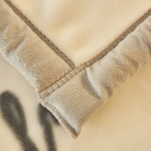 Cheap Wholesale Blanket Custom Milk Velvet Soft Printing Fleece Flannel Blanket in Stock