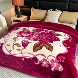 Cozy Flannel Raschel Bedding Set Home Textiles Soft Comforter Warm Coverlets Blue Printed Blanket