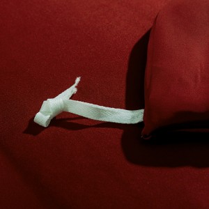 Customized 100% Mulberry Silk Home Hotel Textiles Red Solid Color Top Luxury Red Comforter Cover 18/20/22mm Bedding Set